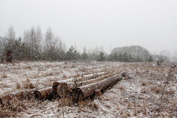 Winter landscape, It's snowing, the field is covered with snow