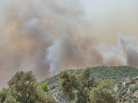 forest fire in turkey © inzell