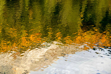 Autumn colours with red autumn leaves against a background of alpine lake Sorapis, Dolomites, Europe