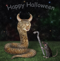 A beige cat snake has horns in the meadow at night. A black rat holds a knife with a snake shaped...