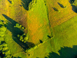 Lush green natural landscape with trees and meadows