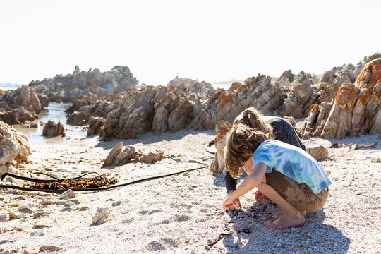 Two people, boy and girl collecting shells on a beach