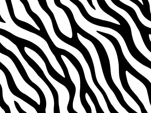 Zebra stripes seamless pattern.