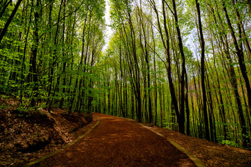 Polonezkoy Nature Park. Polonezkoy hiking trail in Beykoz Istanbul