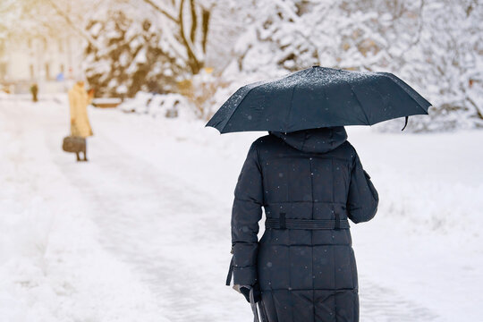 Senior Woman Hiding From Falling Snow Under Black Umbrella. Woman With Umbrella During Blizzard Walking In City Parkin. Female Walk Alone In Snow Storm. Woman Goes To Meeting During Snowfall