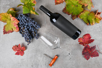 Red wine bottle with black label mockup with bunch of Primitivo grape, green and red fall grape's...