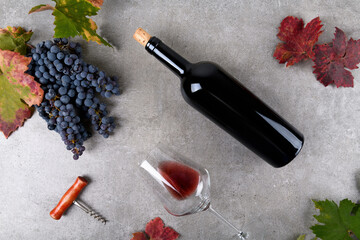 Red wine bottle with bunch of grape, fall grape's leaves on gray background, top view
