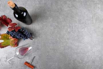 Red wine bottle with bunch of Primitivo grape, green and red fall grape's leaves, glass of wine and corkscrew on on gray stone table, concept wine flat lay backgroud, copy space