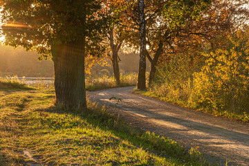 autumn in the park