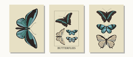 Set of posters with butterflies in modern, trendy colors, contemporary aesthetic background or card template