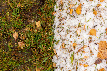 Background in the form of green grass with autumn leaves and snow.