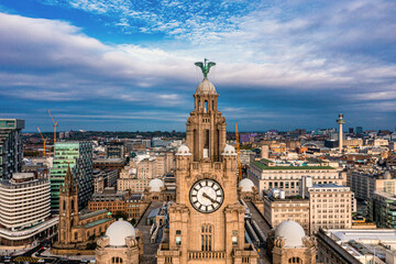 Fototapeta na wymiar Aerial close up of the tower of the Royal Liver Building in Liverpool, UK during beautiful sunset.