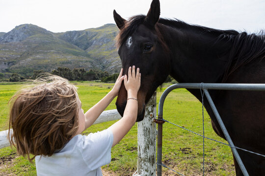 Eight year old boy patting a horse in a field
