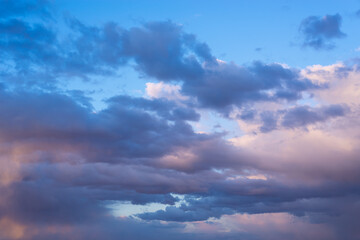 Naklejka na ściany i meble Blue-red clouds in the evening sky.