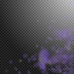 Obraz premium Violet flower petals falling down. Elegant romanti