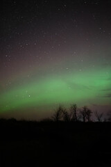 Fototapeta na wymiar Northern lights/aurora borealis over prairie in Mantioba, Canada.