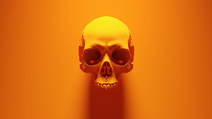 Orange Human Female Skull Medical Anatomical Orange Background 3d illustration render