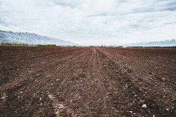 Agricultural land snow mountain black soil