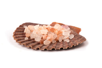 seashells with red salt on white background