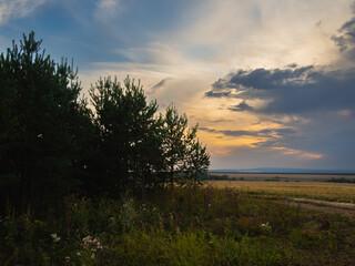 Obraz na płótnie Canvas Dawn in the village, forest and field. Dark sky with clouds.