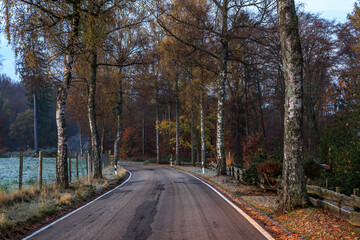 Straße durch den Pfälzer Wald