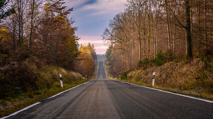 Straße durch den Pfälzer Wald