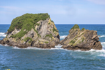 Fototapeta premium Wall Island at Cape Foulwind in New Zealand