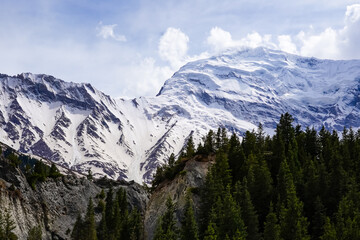 Naklejka premium Sunny weather glacier scenery sports mountaineering