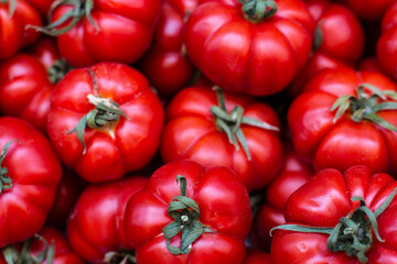 Red Tomatoes