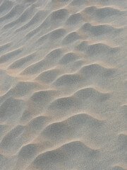 sand waves pattern created by the wind on the beach - 469813836