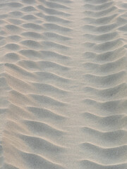 sand waves pattern created by the wind on the beach - 469813897