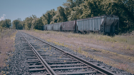 Obraz premium train in field