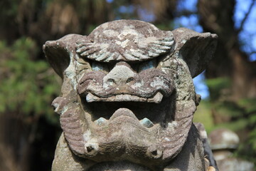大きく口を開けている「狛犬」(阿形)の石像の顔部分
