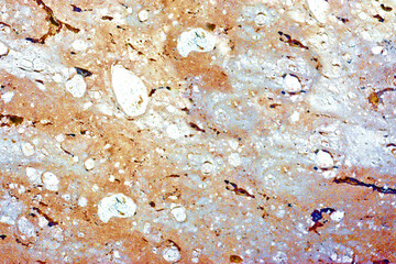 Marble tiles, black and gray shades