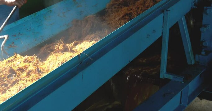 Mill at work squeezing agave to make tequila industry concept