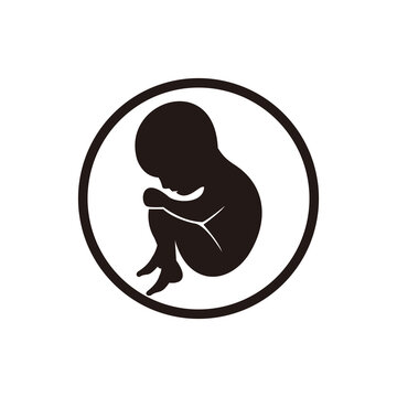 Fetus icon embryo human illustration sign  