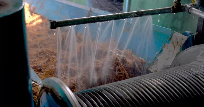 Mill at work squeezing agave to make tequila industry concept