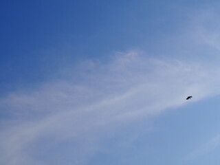 空