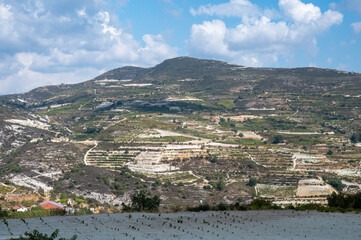 Fototapeta na wymiar Wine industry on Cyprus island, view on Cypriot vineyards with growing grape plants on south slopes of Troodos mountain range near Omodos village