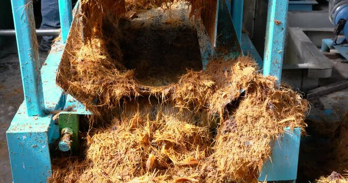 Mill at work squeezing agave to make tequila industry concept