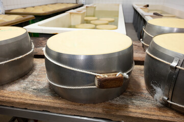 Process of making parmigiano-reggiano parmesan cheese on small cheese farm in Parma, Italy, stainless steel buckles with cheese wheels in salting room with brine baths to absorb salt
