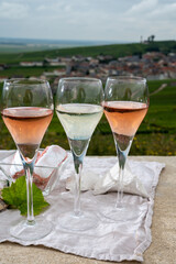 Glasses of white and rose brut champagne wine and examples of vineyard soils, white chalk stones and firestones and view on grand cru vineyards of  Montagne de Reims near Verzenay, Champagne, France