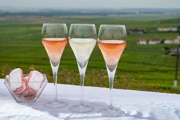 Tasting of white and rose brut champagne wine with view on green pinot noir grand cru vineyards of famous champagne houses in Montagne de Reims near Verzenay, Champagne, France