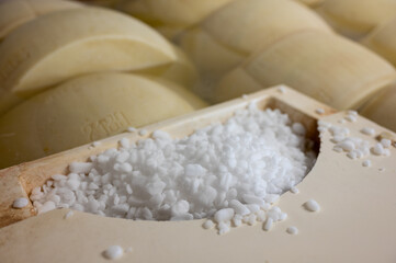 Process of making parmigiano-reggiano parmesan cheese on small cheese farm in Parma, Italy, salting room, wheels brining in brine bath to absorb salt for 20–25 days