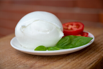Fototapeta na wymiar White ball of Italian soft cheese Mozzarella di Bufala Campana with fresh green basil and red tomato