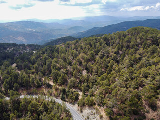 Fototapeta na wymiar Evergreen pine trees growing in high Troodos mountains on Cyprus, aerial view