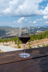 Wine industry of Cyprus island, tasting of red dry wine on winery with view on vineyards and south slopes of Troodos mountain range.