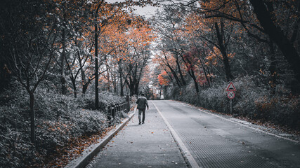 driving on the road