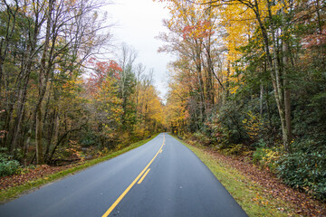 Two lane road through autumn forest