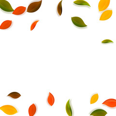 Falling autumn leaves. Red, yellow, green, brown n